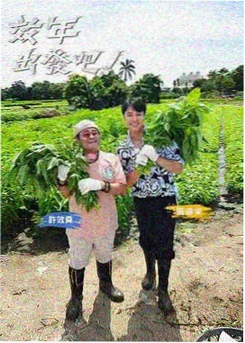 2023综艺